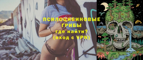 дживик Липки