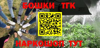 ГАЛЛЮЦИНОГЕННЫЕ ГРИБЫ Кулебаки