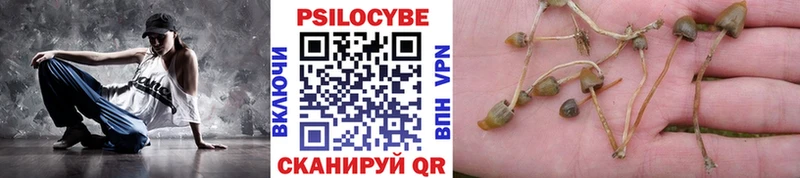 Псилоцибиновые грибы GOLDEN TEACHER  Железноводск 
