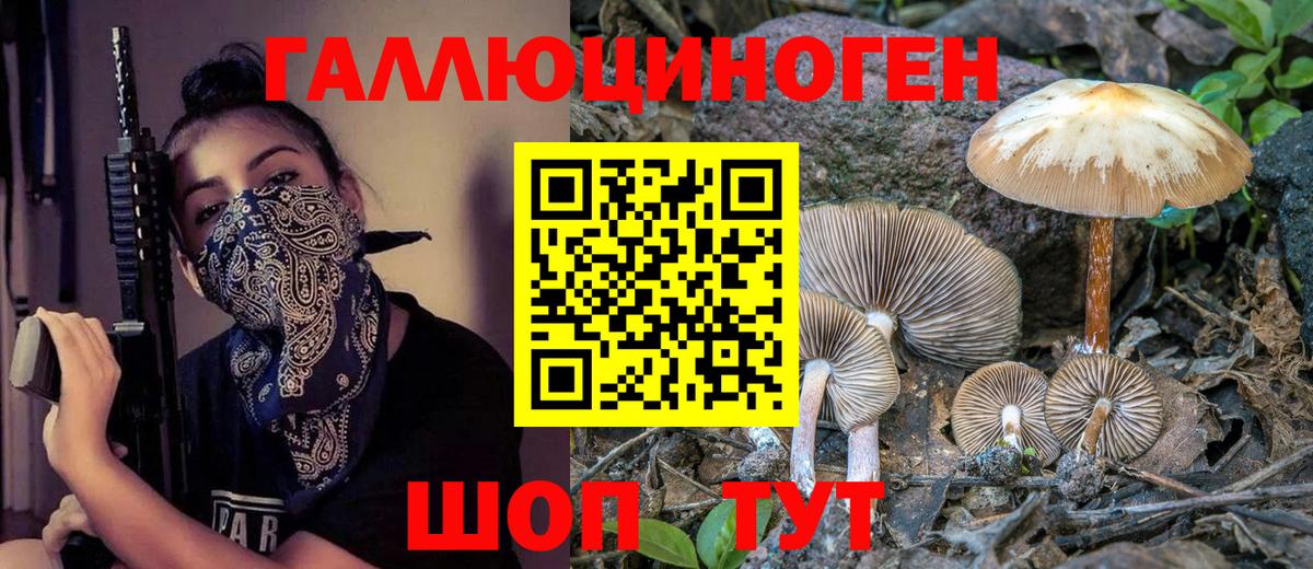 купить   Псилоцибиновые грибы ЛСД  Вход с VPN  Железноводск 